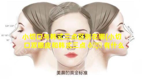 小切口与韩式三点区别在哪(小切口双眼皮和韩式三点 🦟 有什么区别)